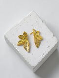 Arete Bronce APD