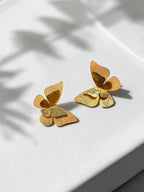 Arete Bronce APD0326